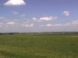 Some white, puffy clouds over a field
